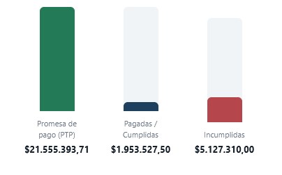Promise-to-pay overview